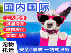 库尔勒空运国际宠物托运 【国